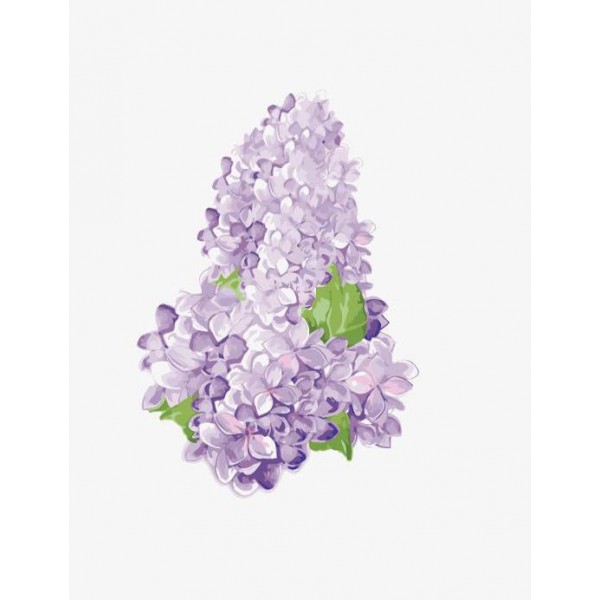 Lilac Flower - DIY Kit