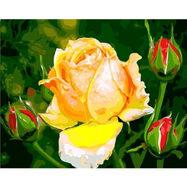 Yellow Rose & Red Rose Buds