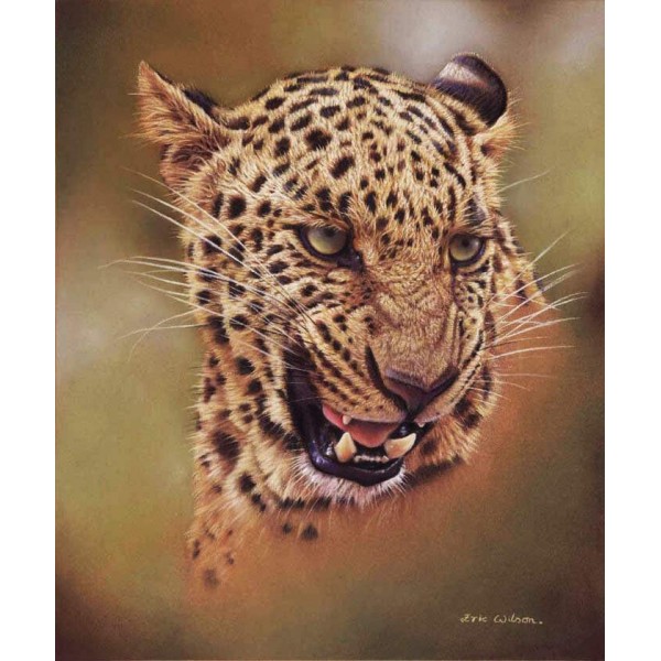 Bhagya Leopard Portrait - Art by Eric Wilson